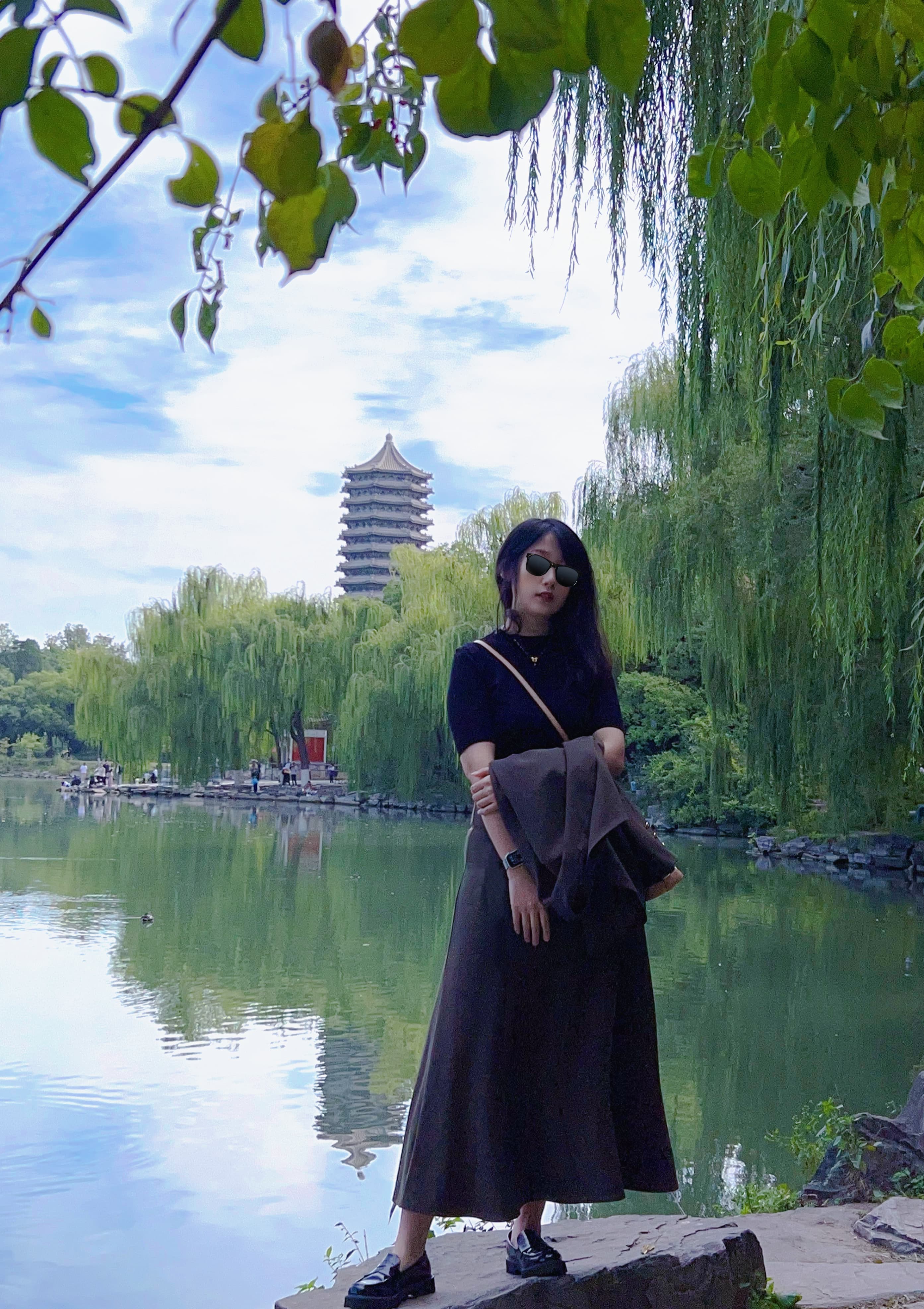 Professional Profile